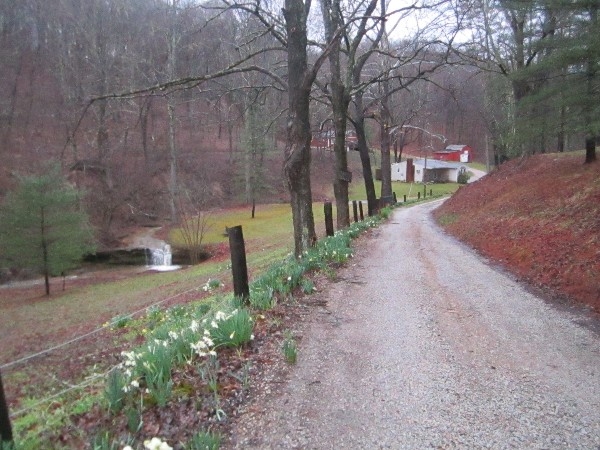 Campbell's Hollow Cottages, Homestead Cottage (photo #3)